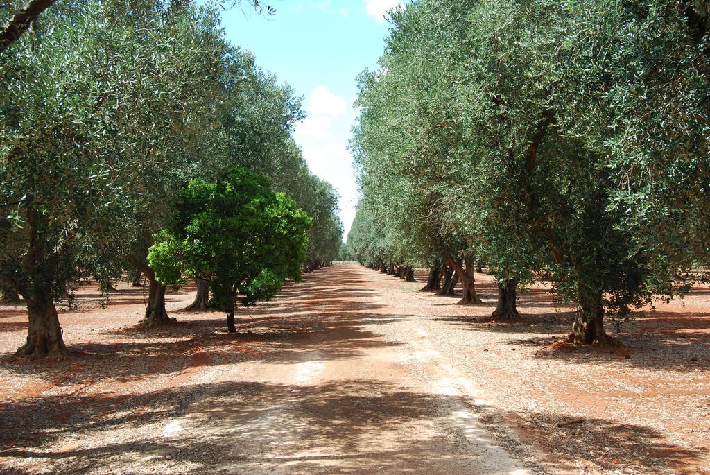 Terra Di Leuca Villa Salve Bagian luar foto