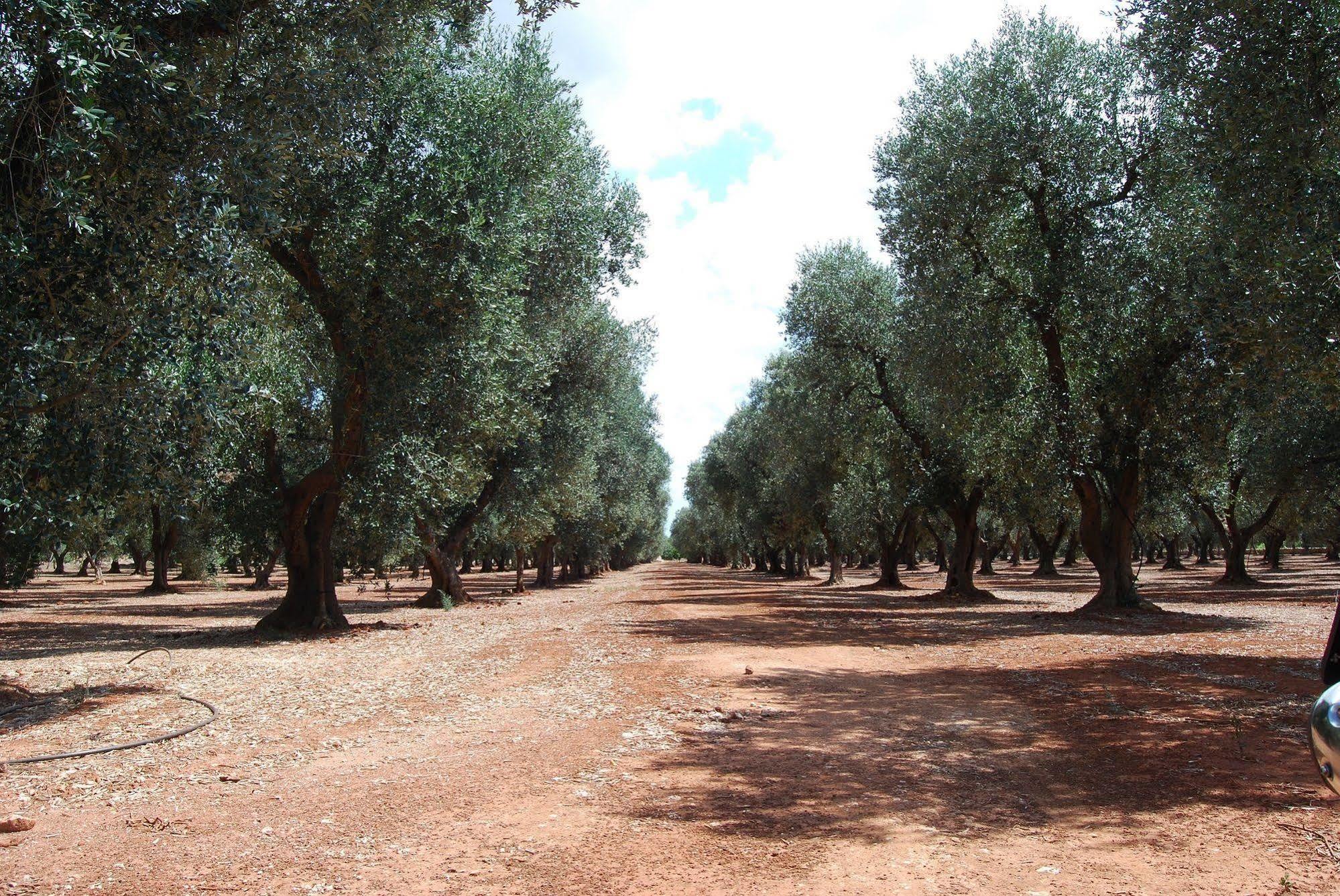 Terra Di Leuca Villa Salve Bagian luar foto