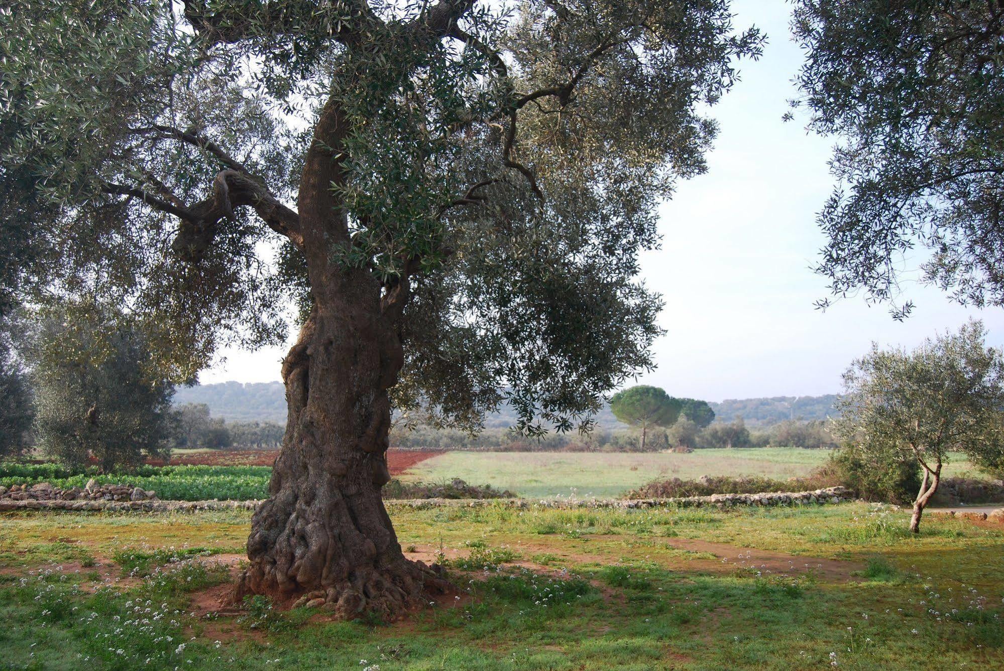 Terra Di Leuca Villa Salve Bagian luar foto