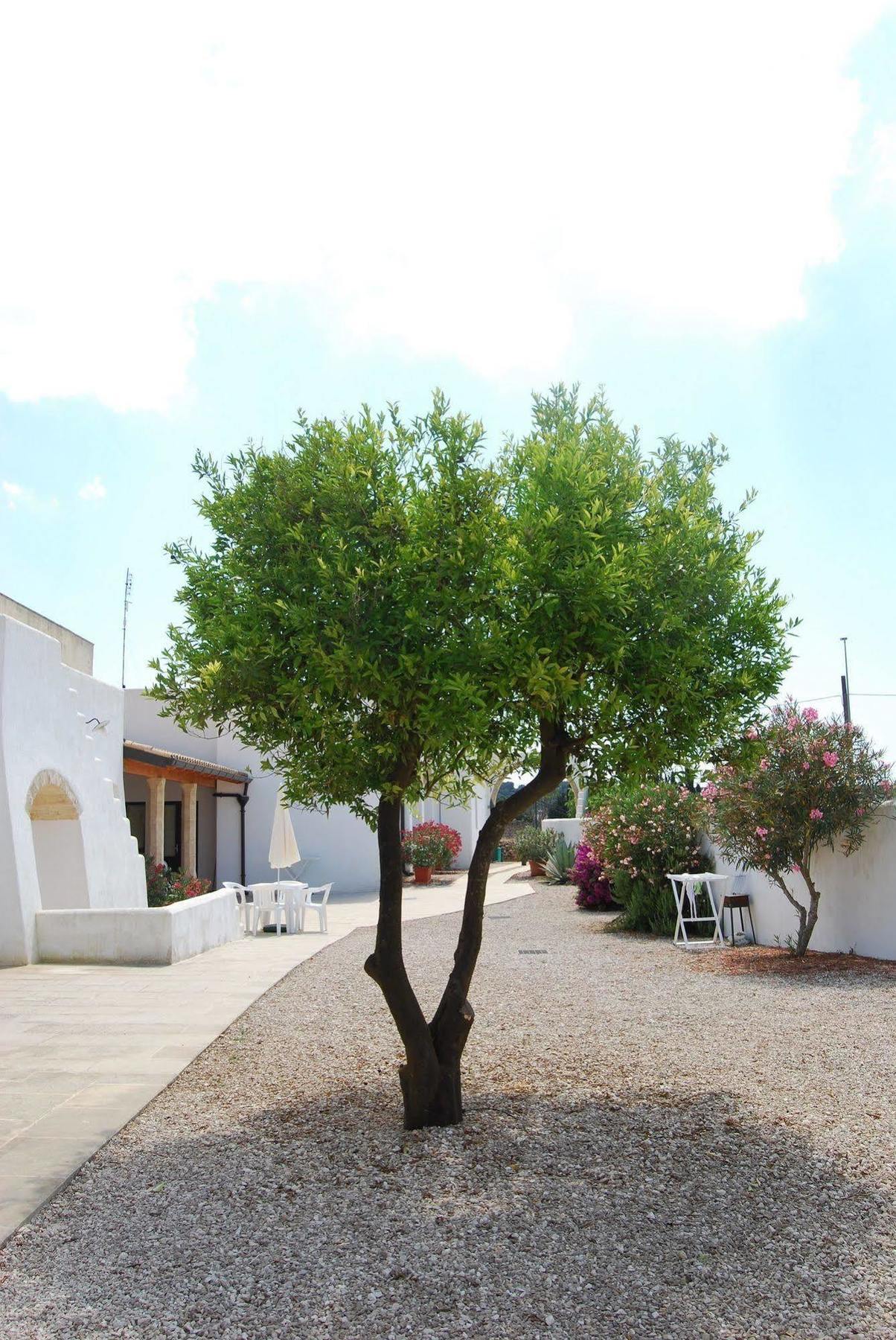 Terra Di Leuca Villa Salve Bagian luar foto